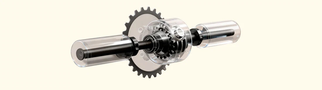 Rear Differential