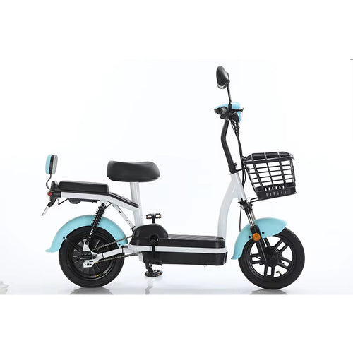 Standard Ebike